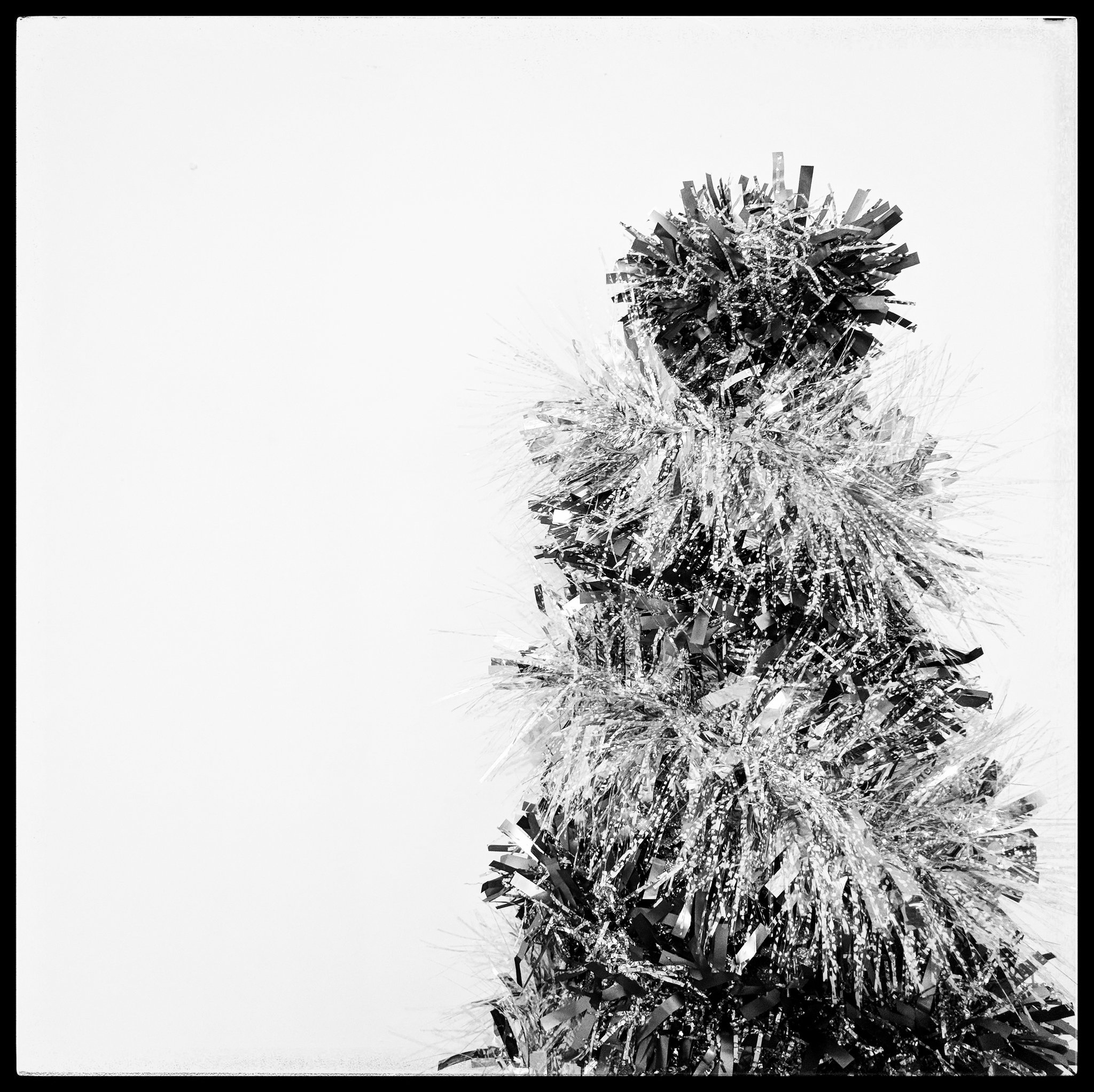 I need something to fly over my grave again