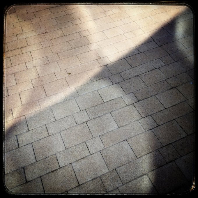 Chromosome Reflection