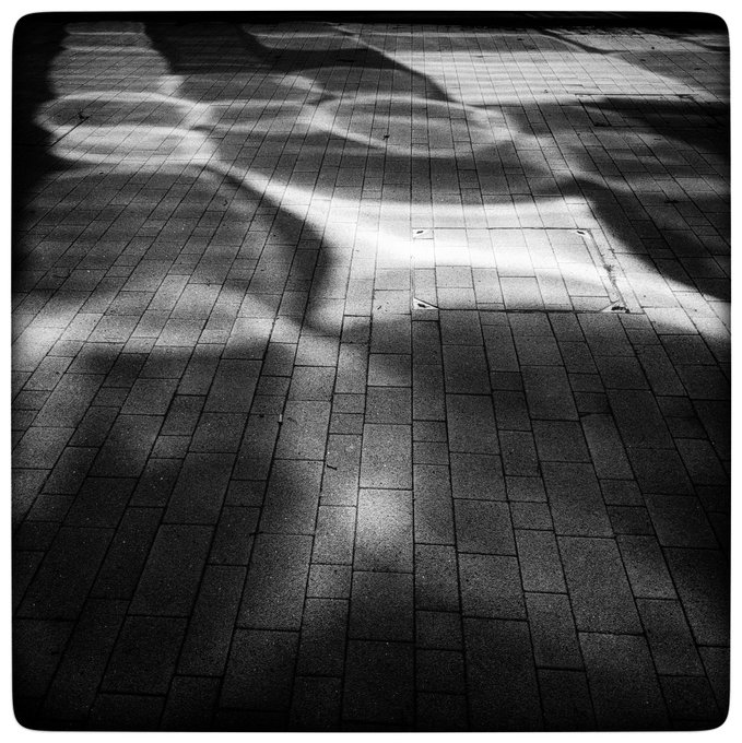 The Other Type of Summer