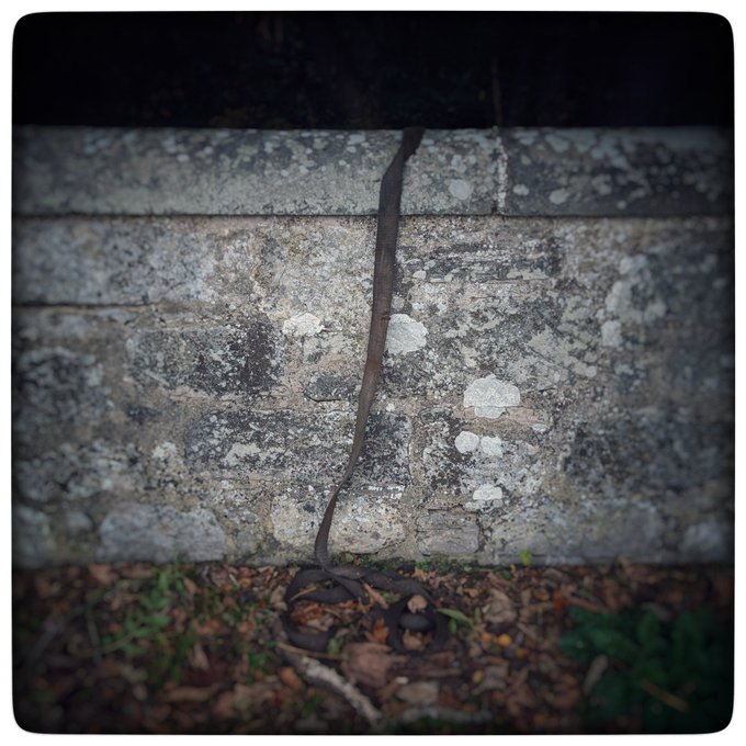 On Memory (Exit Music)