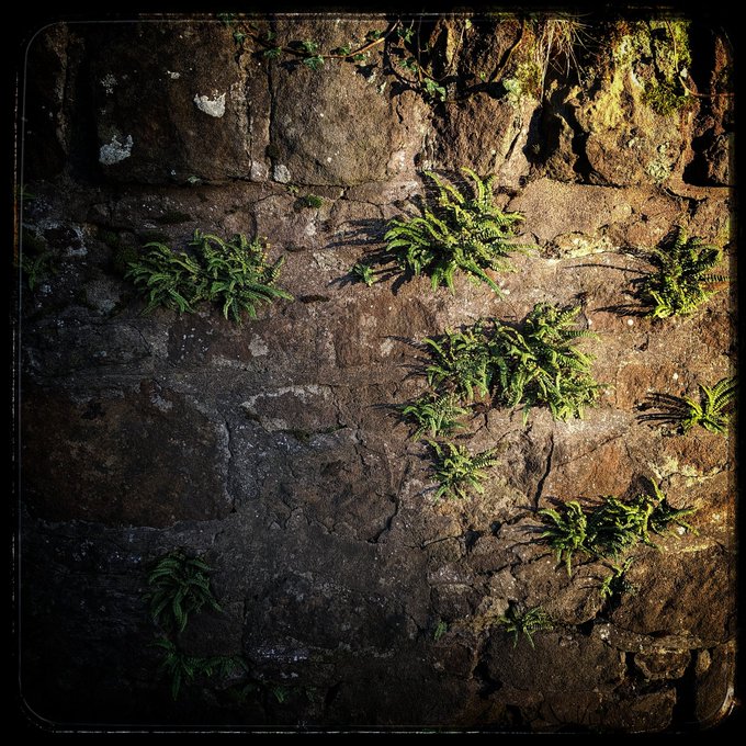 Last I Heard (He Was Circling The Drain)