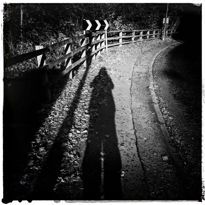 Back on the right track