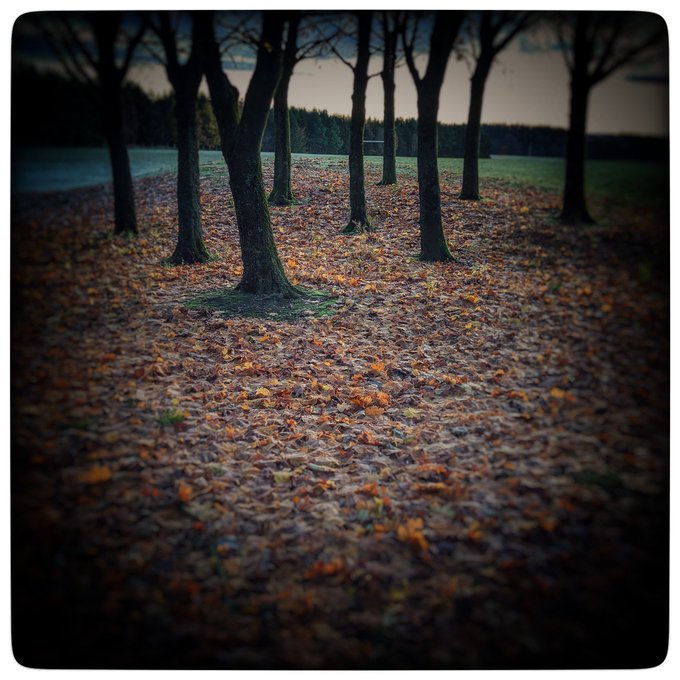 I've got your number