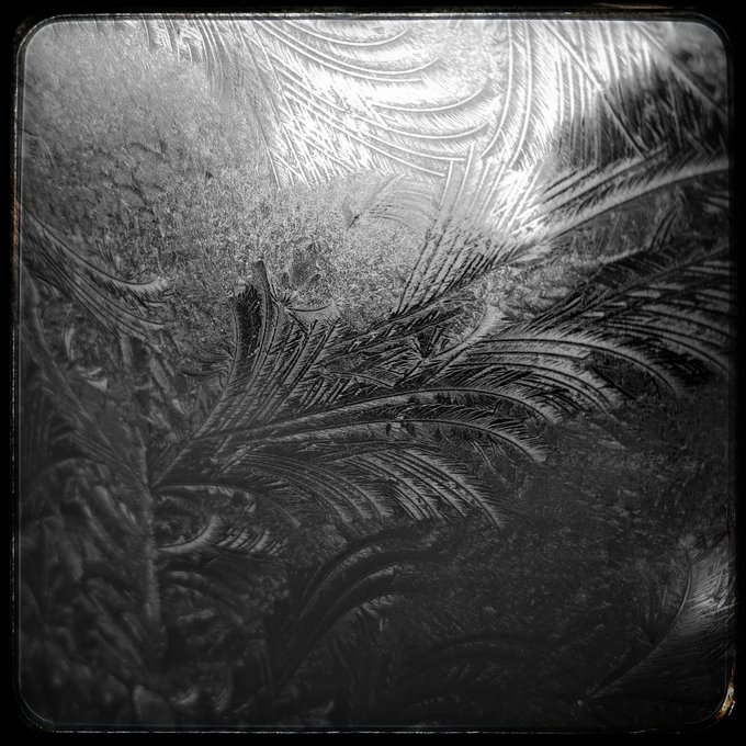 Behind frosted glass