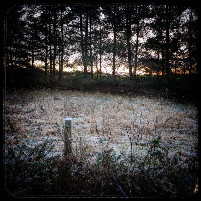 I guess that's all I needed