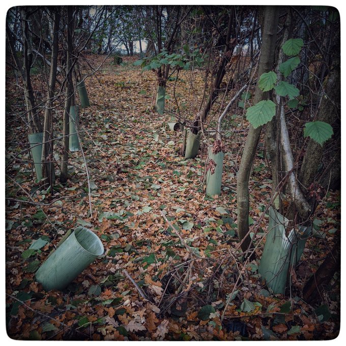 Fitter. Happier. More productive.