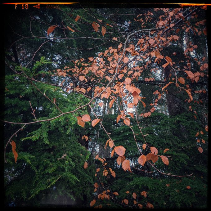 The drugs don't work