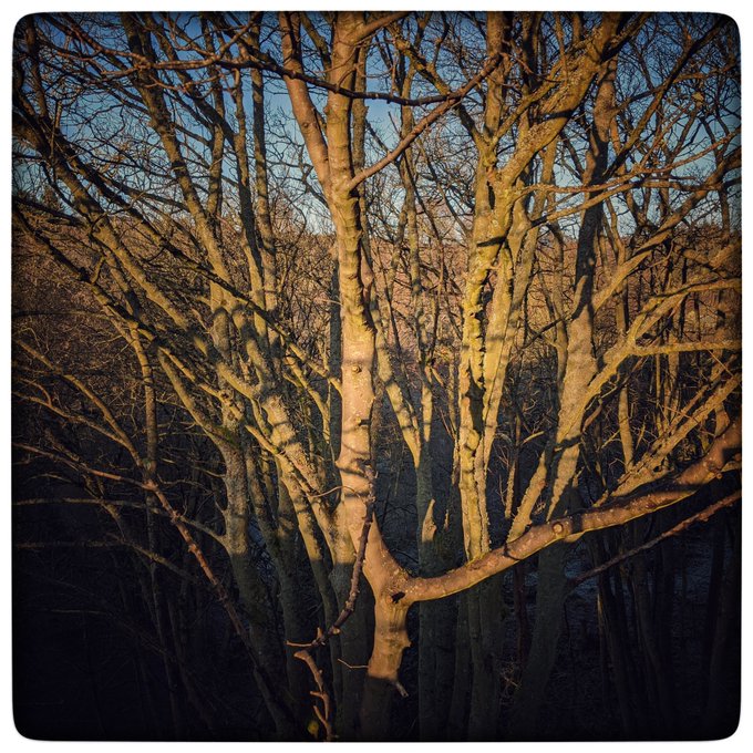 Story upon story upon story