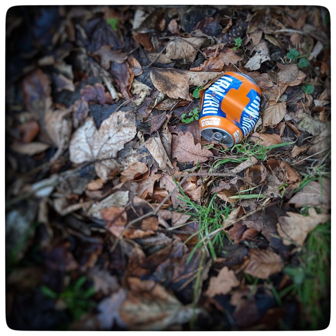 When they got home at night