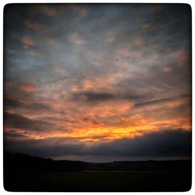 Just because you can