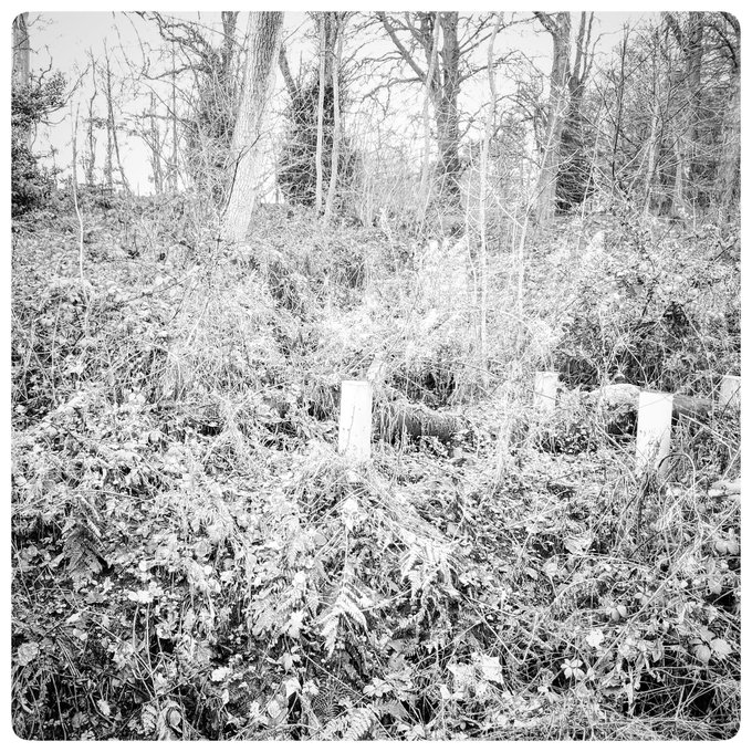 No poems, no love, and no brains