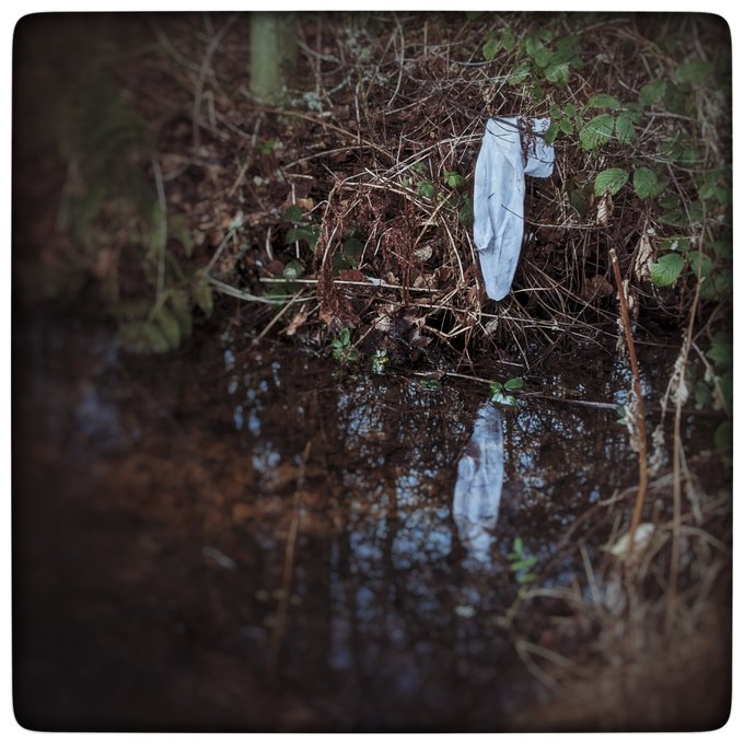 Welcome home, you total stranger