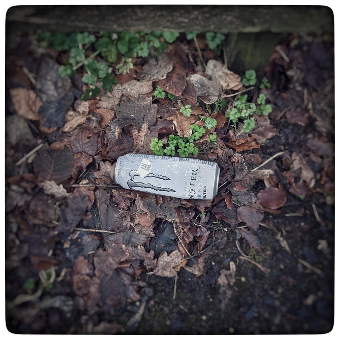 Thoughts and species