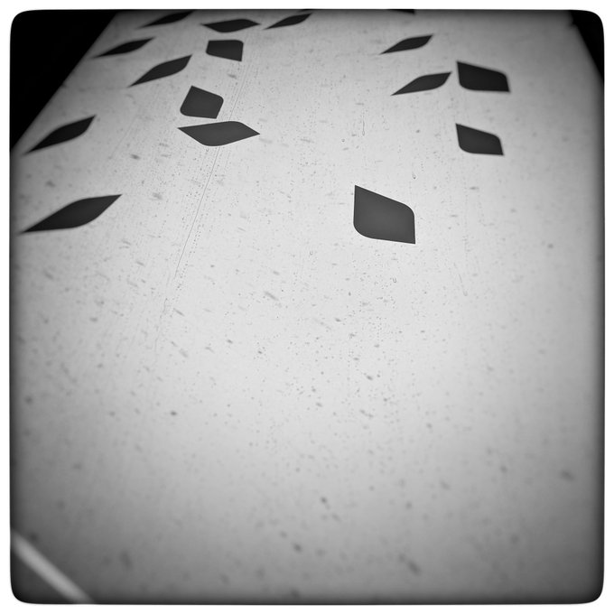 Flashback (2020-02-10)