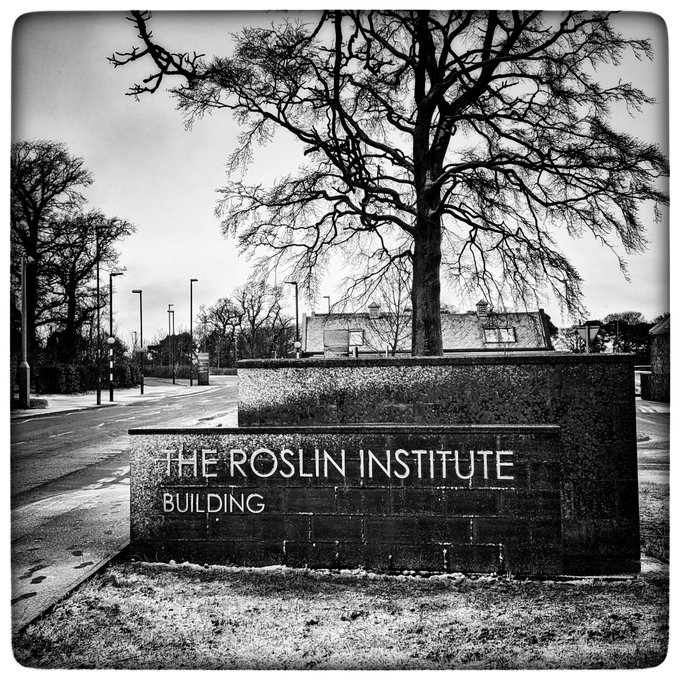 The start of something