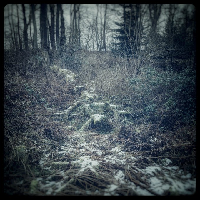 I'm taking my last breath, with each chapter and each verse