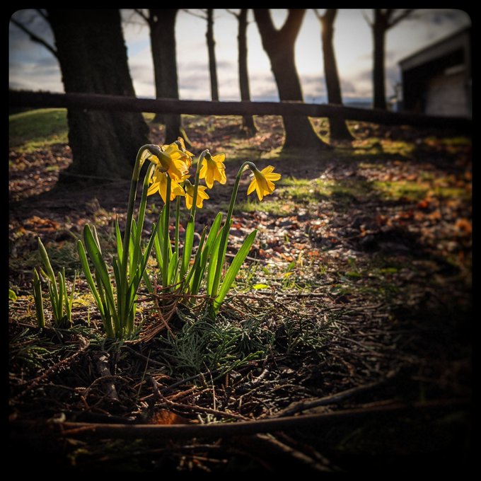 Other side of the cage