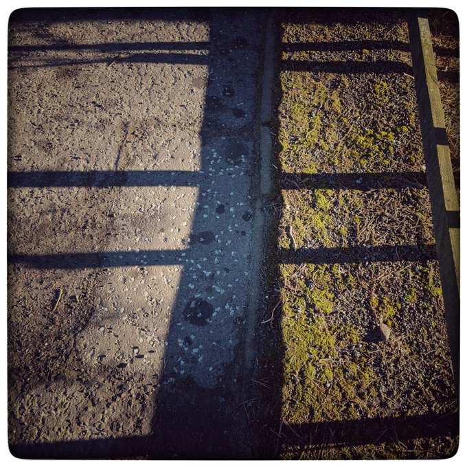 Oh, did you think I meant you?