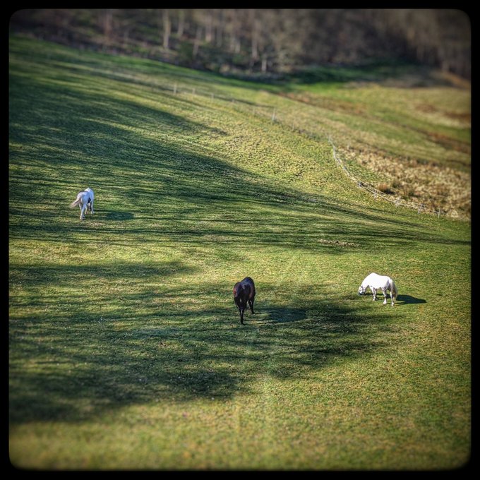 Like nothing ever happened