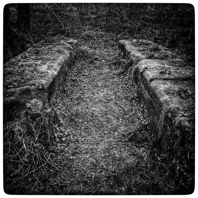 Monkey see, monkey do