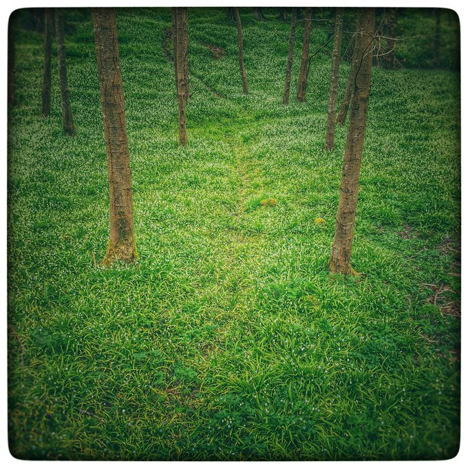 That's okay, 'cos so are you