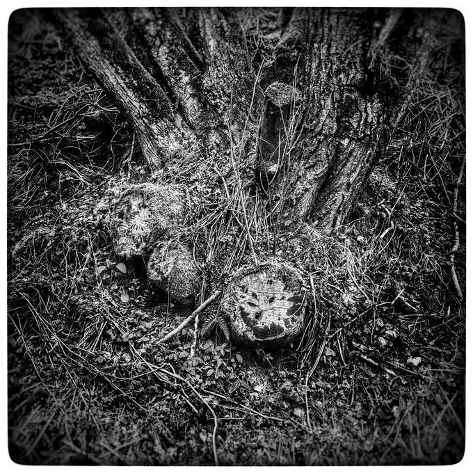 Mother's gonna put all of her fears into you