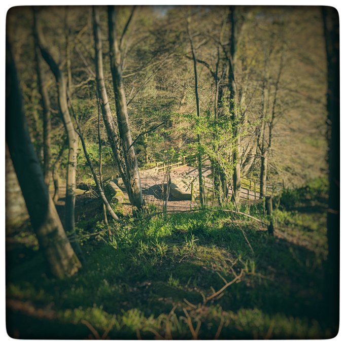 And if they try to break down your disguise