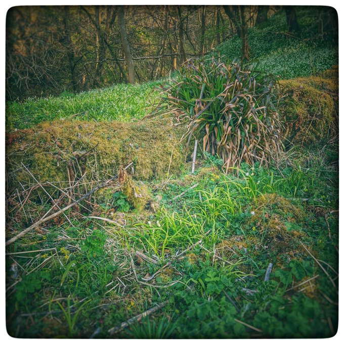 It's not just about the tittle