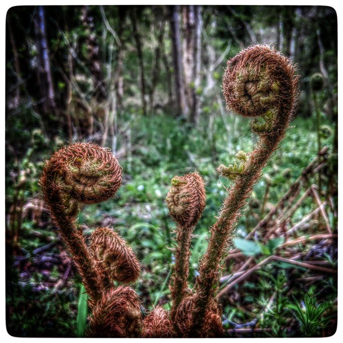 Your influence, parts IV-VI