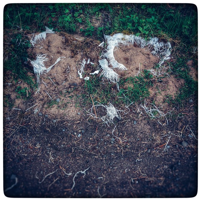 When you're finally worn down