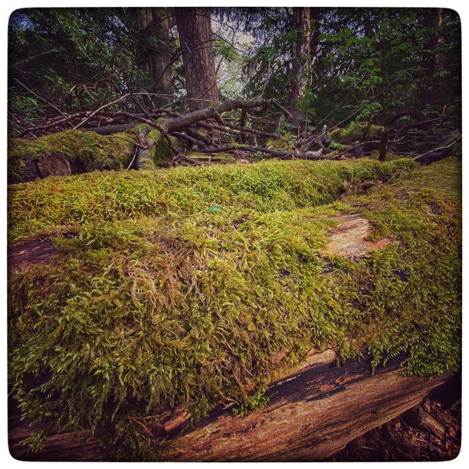 There was more than that