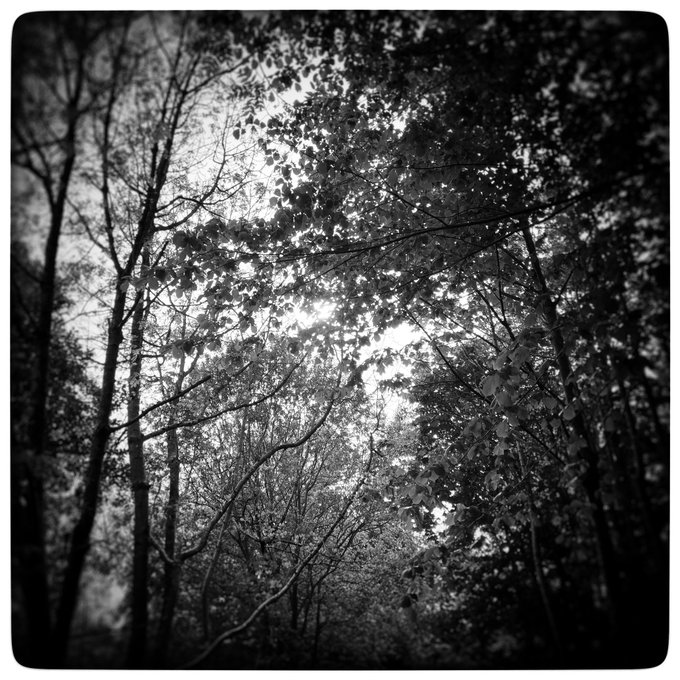 Recollection of the twist