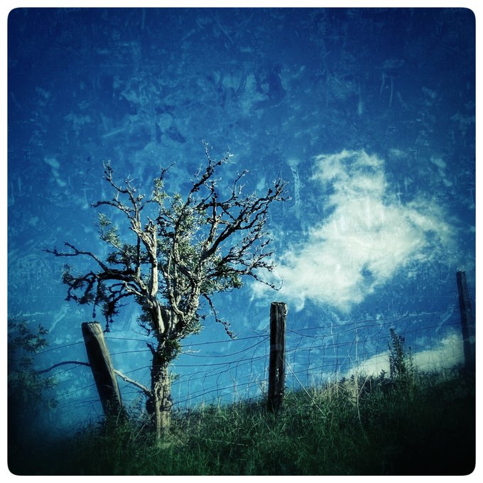 Less intrusive every day