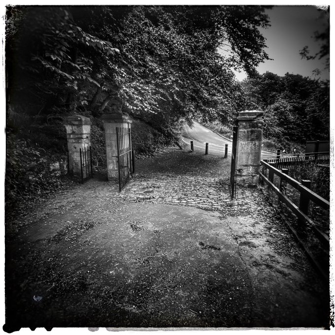 Whispering about you