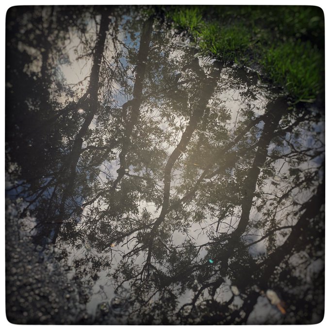 The inevitable crescendo