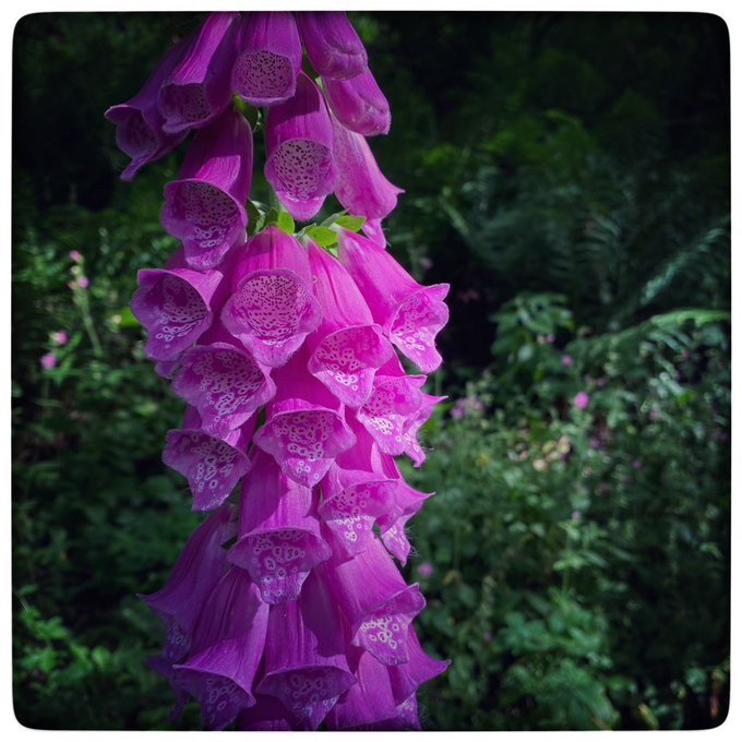 When the end started