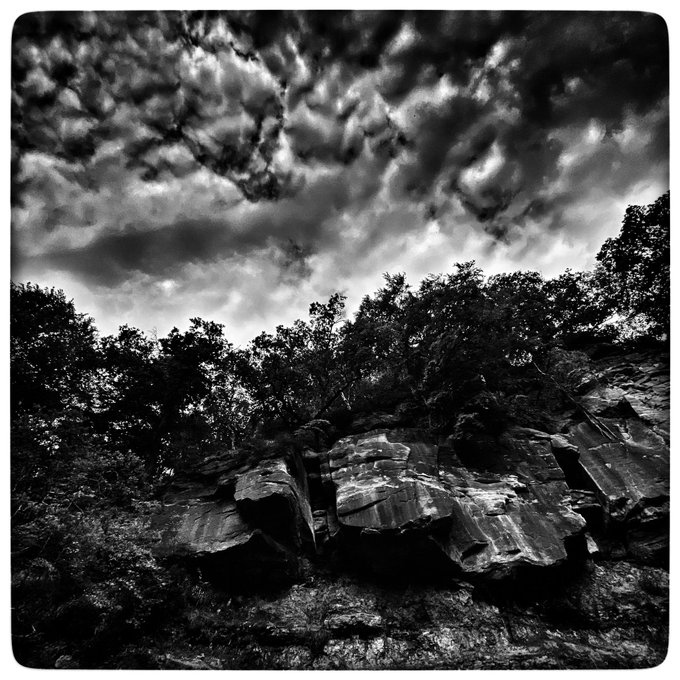 Voice your suspicions