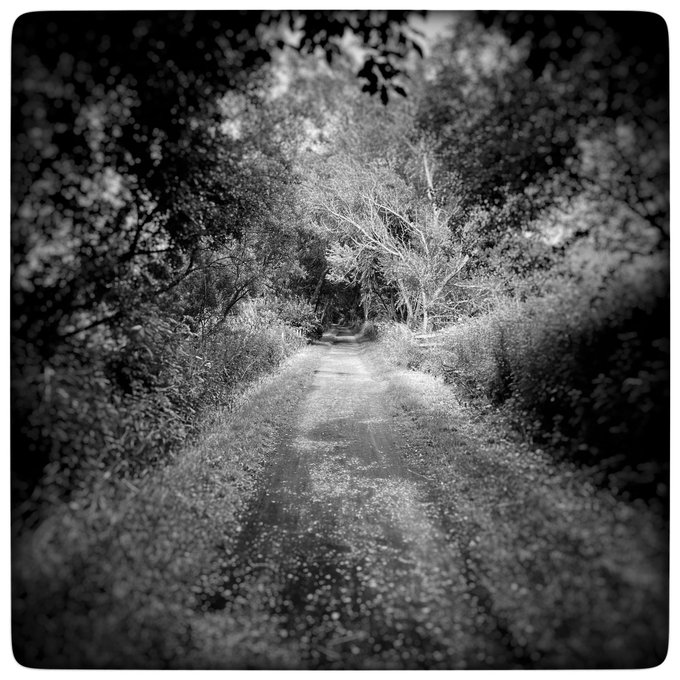 Freedom is a lack of fear