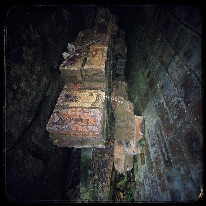 Bleeding hearts and artists