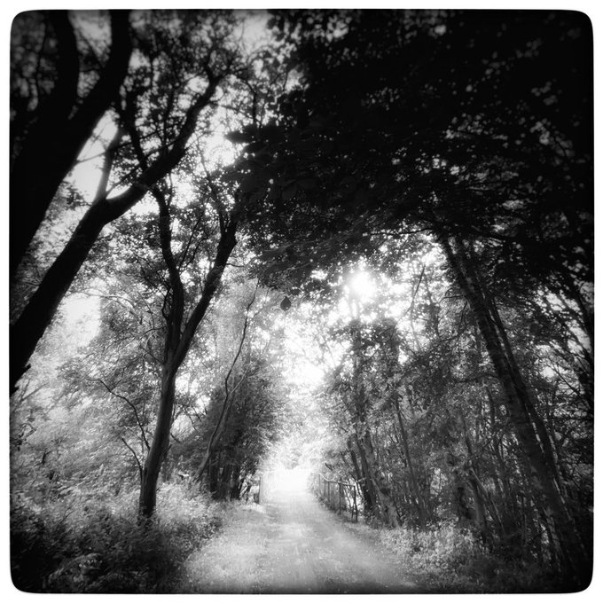 Different every time