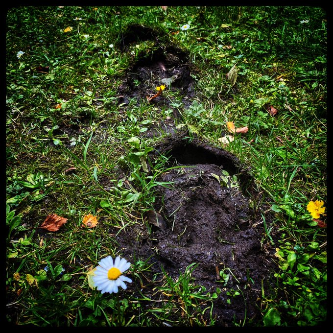 Re-evaluate the trail