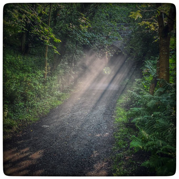 Environment settings