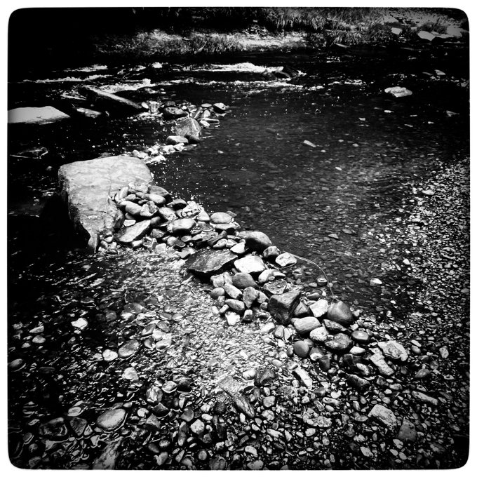 Asylums for the feeling