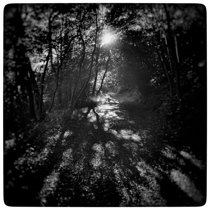 A Life in a game of Damage