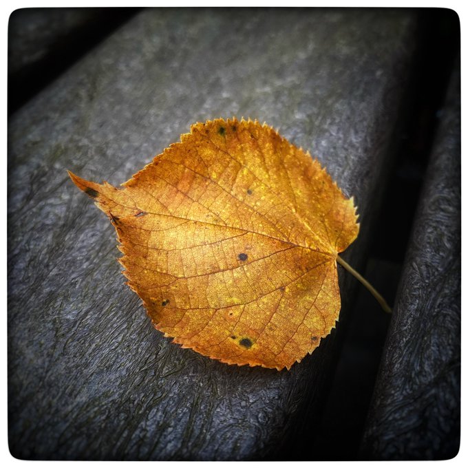 Elbow reconfiguration