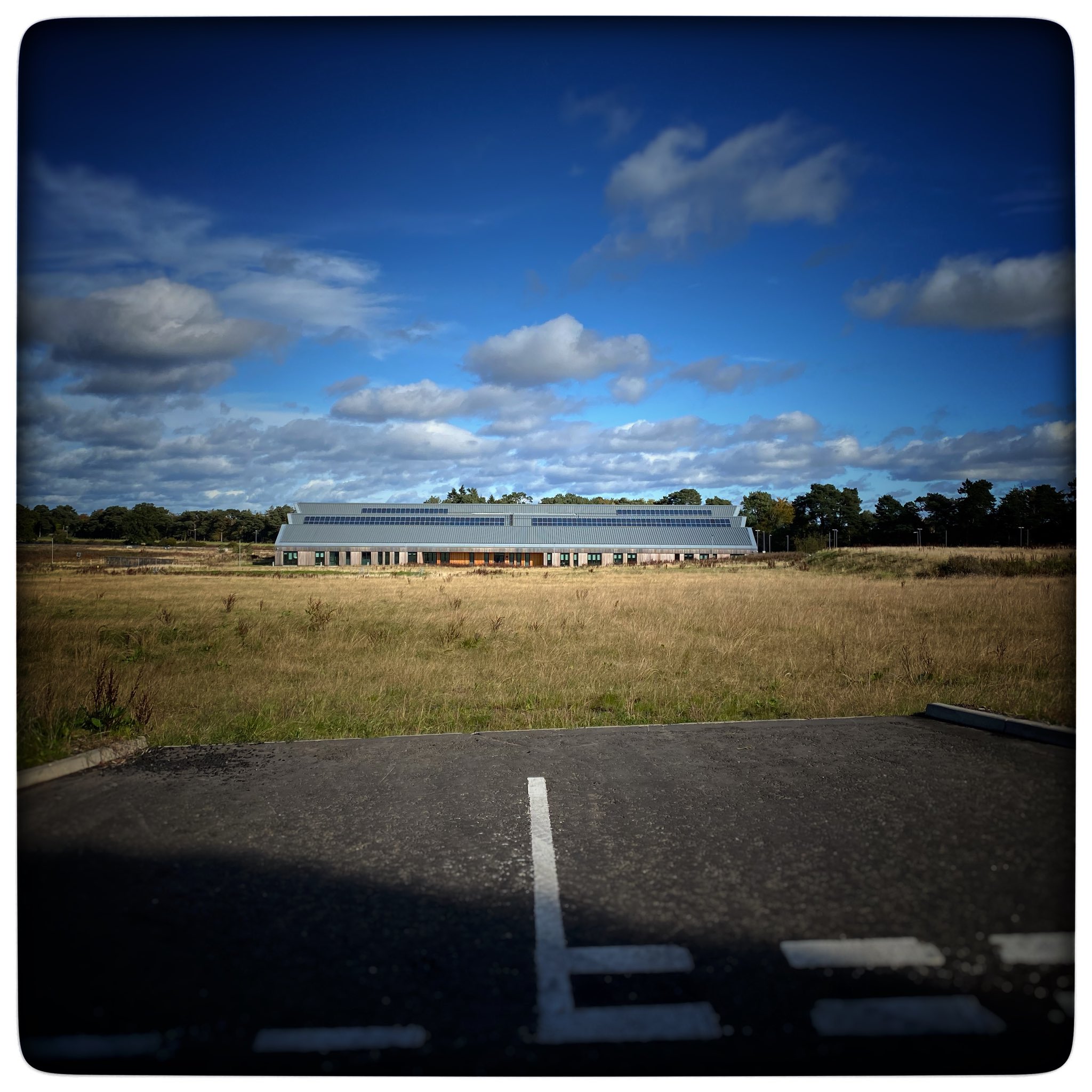 Your thought process