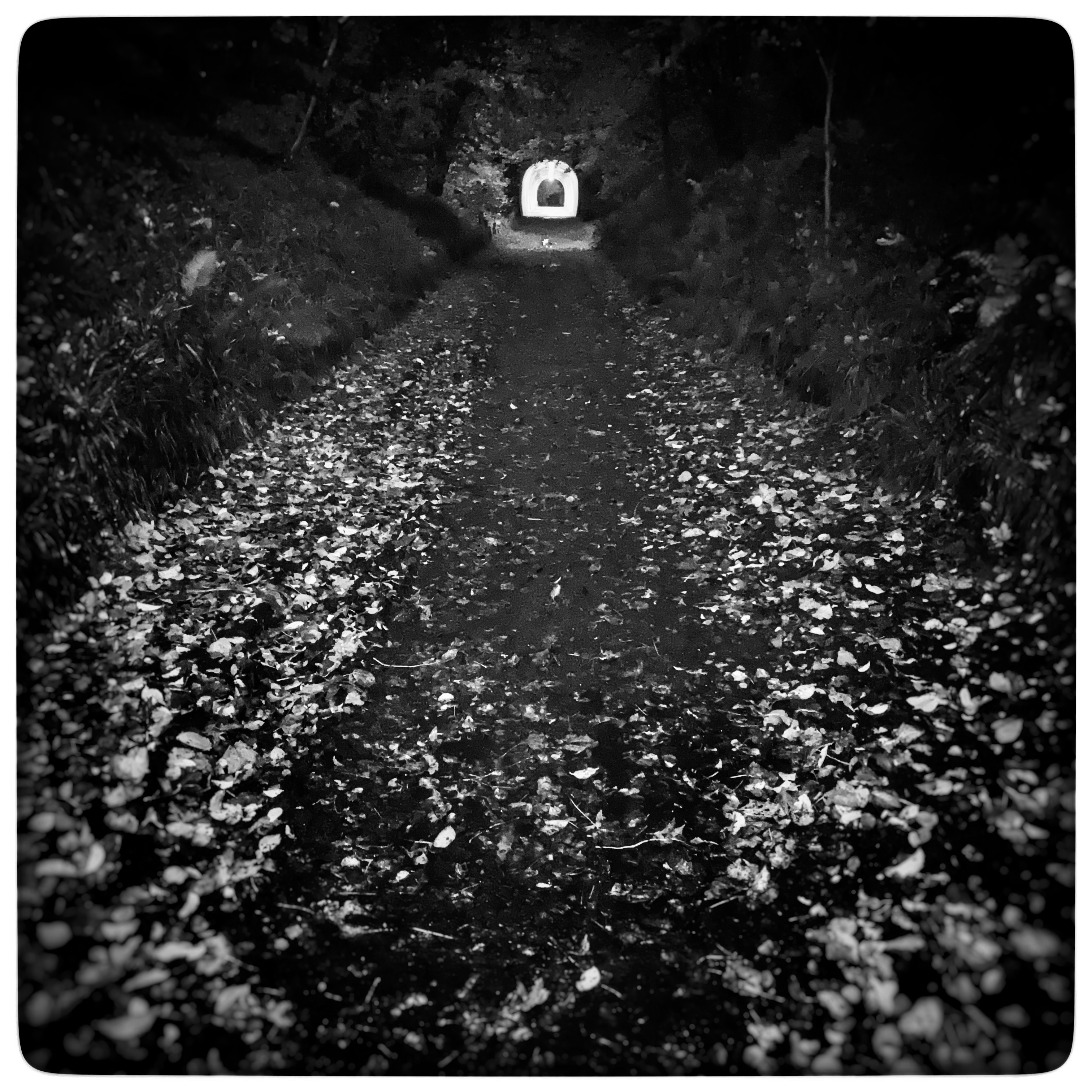 Someone is always the light