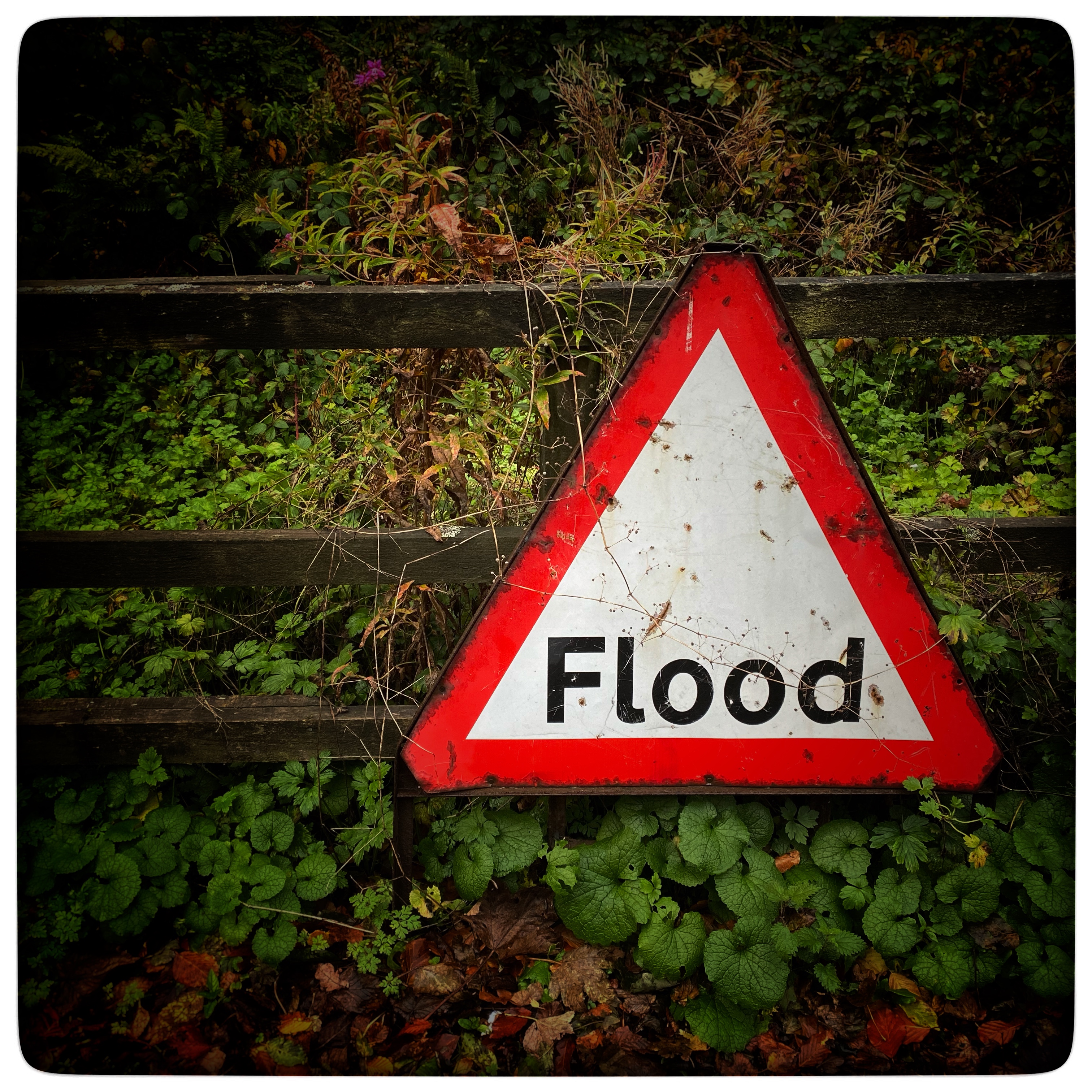 How'd you get so wrong?