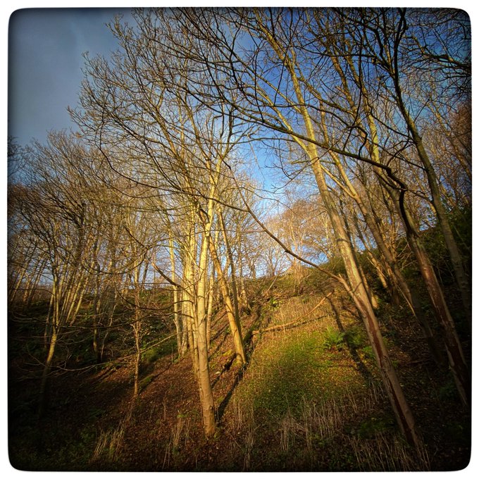 Any mountain can move