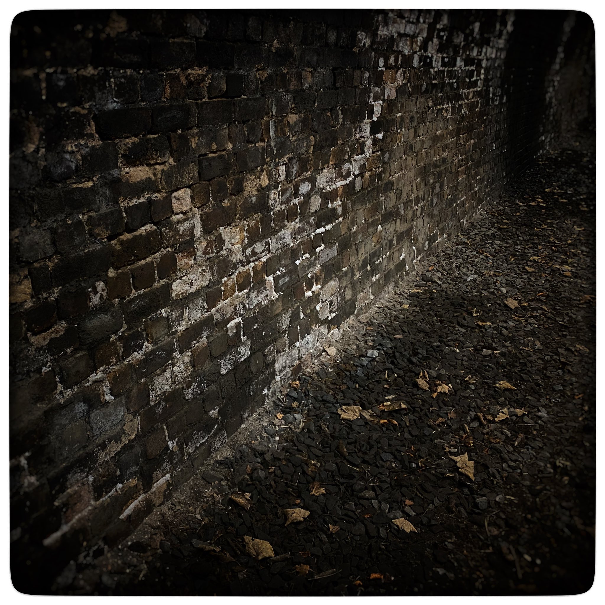 Last chance to lose control